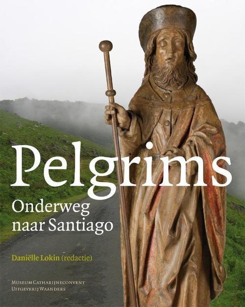 Pelgrims 9789040078200 Daniëlle Lokin, Boeken, Politiek en Maatschappij, Zo goed als nieuw, Verzenden
