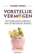 Vorstelijk vermogen 9789028979000 Thierry Debels, Boeken, Verzenden, Gelezen, Thierry Debels