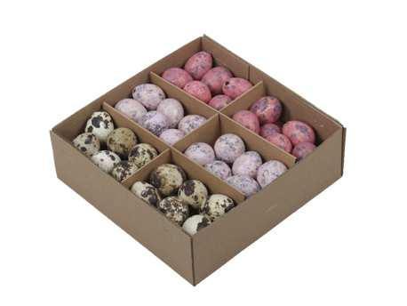 Kwarteleitjesmix pink doos 72 stuks kwartel eitjes, Hobby & Loisirs créatifs, Bricolage