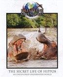 Jules Verne - The secret life of hippos op Blu-ray, CD & DVD, Blu-ray, Envoi