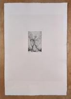 Christian Mischke (1944-2022) - Flora & Die Libelle (2, Antiek en Kunst