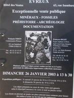 Mesolithisch / Epipaleolithisch Been Hand axe - 220 mm, Antiek en Kunst