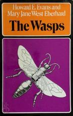 The Wasps, Nieuw, Nederlands, Verzenden