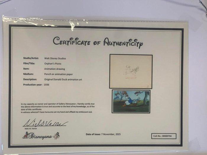 Walt Disney - Animation Drawing - 1 Art original - Walt, Collections, Disney