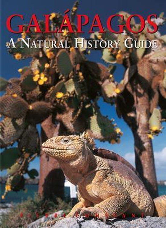 Galapagos 9789622177666 Pierre Constant, Livres, Langue | Anglais, Envoi