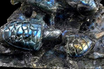 Wonderlijke labradoriet Zeebodem met vissen, schildpadden en beschikbaar voor biedingen