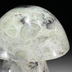 Sans prix de réserve - Sculpture de champignon en onyx