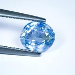 Zonder Minimumprijs Saffier  - 1.61 ct - International, Handtassen en Accessoires, Edelstenen, Nieuw