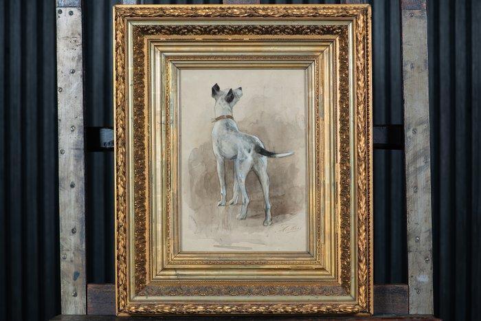 Nicolaas van der Waay (1855-1936) - Hond (No Reserve), Antiquités & Art, Art | Peinture | Classique