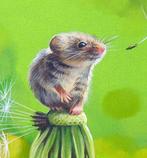 Gala - Mouse animal painting - Dandelion