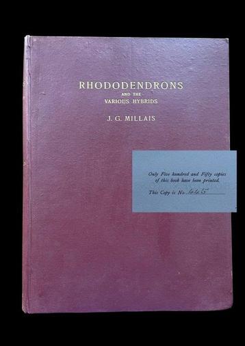 J.G Millais - Rhododendrons (#445/550) - 1917