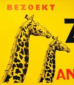 E. Darimont - Bezoekt ZOO Antwerpen