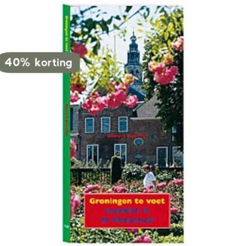 Groningen te voet 9789033012860 E. Houting, Boeken, Reisgidsen, Zo goed als nieuw, Verzenden