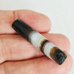 Oude Zijderoute, Centraal-Azië Natuurlijk bandagaat Zeldzame