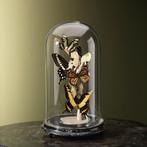 Vlinders in Stolp Taxidermie Opgezette Dieren By Max, Verzamelen, Ophalen of Verzenden, Nieuw, Insect, Opgezet dier