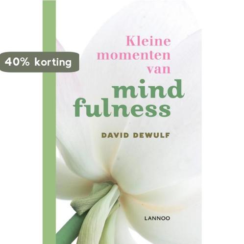 Kleine momenten van mindfulness 9789020942101 David Dewulf, Boeken, Psychologie, Zo goed als nieuw, Verzenden