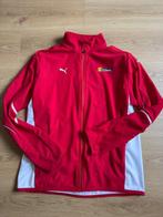 Ferrari F1 Clienti - Formule 1 - Teamkleding, Nieuw