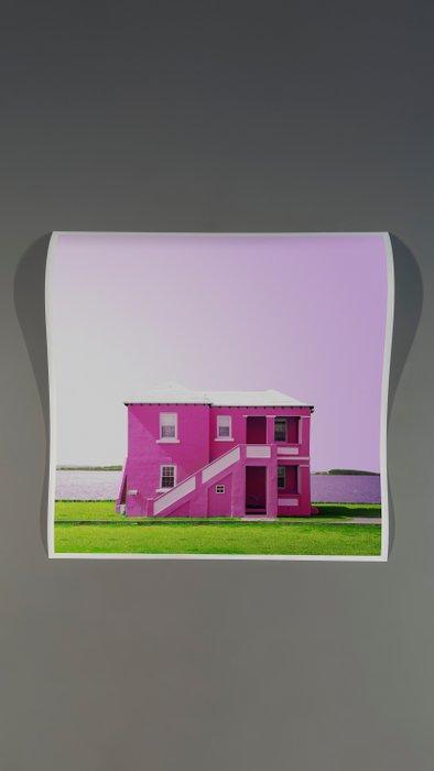 Téber - Equanimity (Dragonfruit), Antiek en Kunst, Kunst | Schilderijen | Modern