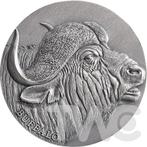 Kameroen. 2000 Francs 2022 - Buffalo Expressions of Wildlife, Postzegels en Munten