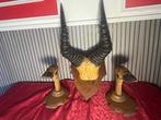 Gazelle Cornes - Gazella sp. - 44 cm - 12 cm - 12 cm - (3), Verzamelen, Nieuw