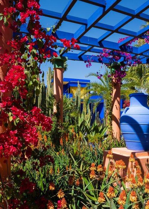 Dominik Valvo - Jardin Majorelle #2  (Marrakech 2024), Antiek en Kunst, Kunst | Schilderijen | Modern