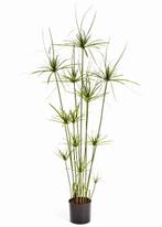 Kunstplant Papyrus Deluxe 140 cm, Verzenden