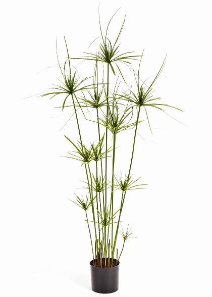 Kunstplant Papyrus Deluxe 140 cm, Maison & Meubles, Plantes d'intérieur, Envoi