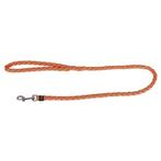 Laisse courte pour chien maxi safe, orange, 100cmx12mm -, Dieren en Toebehoren, Honden-accessoires