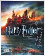 Harry Potter - Sophie Thompson (Mafalda Hopkrik) -