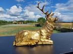 Beeld, hert liggende - 36 cm - polyresin, Antiek en Kunst