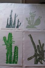 N. Magro - Collectables: Four Domestic Cacti