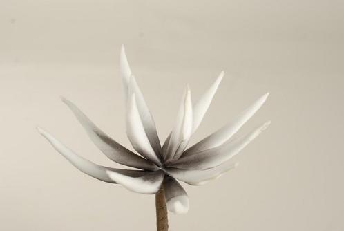 Cactus flower licht grijs 16cm. 10 stuks foam, Maison & Meubles, Accessoires pour la Maison | Plantes & Fleurs artificielles