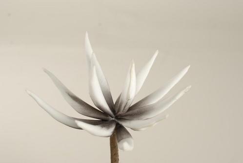 Cactus flower licht grijs 16cm. 10 stuks foam, Huis en Inrichting, Woonaccessoires | Kunstplanten en Kunstbloemen, Nieuw