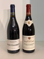 Domaine Faiveley & Chanson Pères et Fils - Gevrey Chambertin, Nieuw