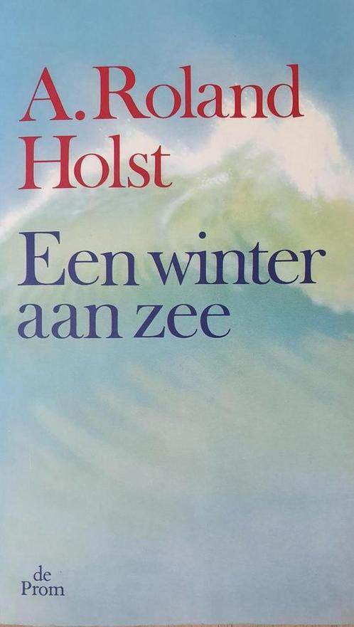 Winter Aan Zee 9789068015201 A. Roland Holst, Boeken, Gedichten en Poëzie, Gelezen, Verzenden