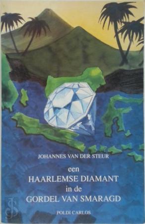 Johannes v.d. Steur: een Haarlemse diamant in de Gordel van, Livres, Langue | Langues Autre, Envoi