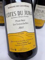 2022 Domaine des Cavarodes Les Lumachelles Pinot Noir -, Verzamelen, Wijnen, Nieuw