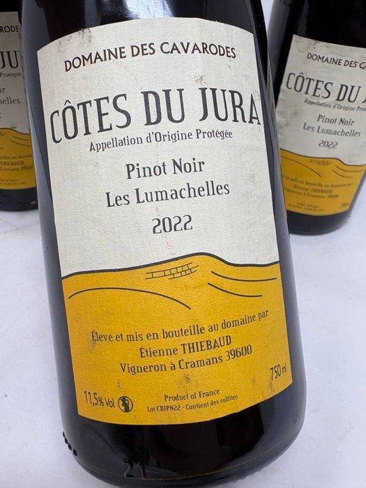 2022 Domaine des Cavarodes Les Lumachelles Pinot Noir -, Verzamelen, Wijnen