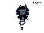 Koelfan Motor Piaggio | Vespa Beverly 300 2010-2015 (M69200), Motoren, Verzenden, Gebruikt