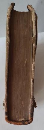 **** [= Lieve Ferdinand de Beaufort] - Het leven van Willem