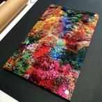 Viet Ha Tran - Wall of Nature XXII