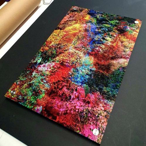 Viet Ha Tran - Wall of Nature XXII, Antiek en Kunst, Kunst | Schilderijen | Modern