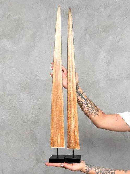 GEEN MINIMUMVERKOOPPRIJS - Een paar zwaardvis-rostrums op op, Antiek en Kunst, Kunst | Designobjecten