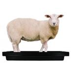 Klauwbad superkombi mini, voor schapen 120cm * 40cm *18cm -, Dieren en Toebehoren, Stalling en Weidegang