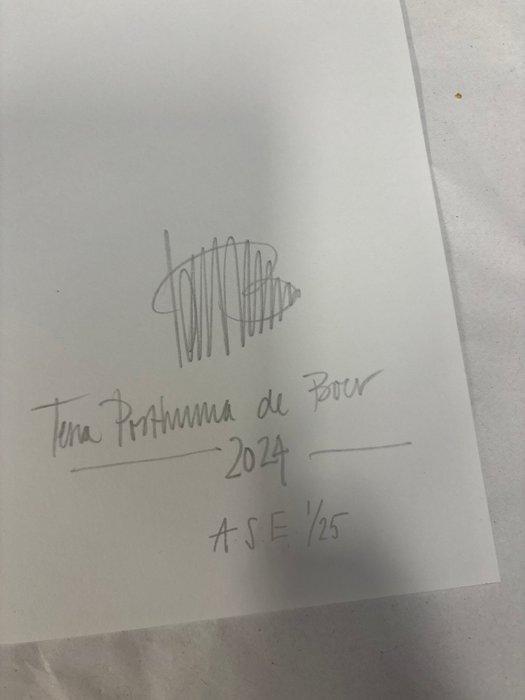 Tessa Posthuma de Boer - La Table no.7, Antiek en Kunst, Kunst | Designobjecten