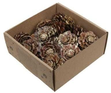 Dennenappel Flower cut Goud Wash doosje 23 stuks, Hobby en Vrije tijd, Knutselen, Nieuw