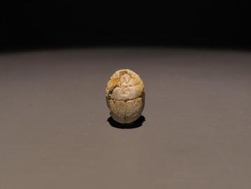 Égypte ancienne Stéatite Scarabée au nom du pharaon
