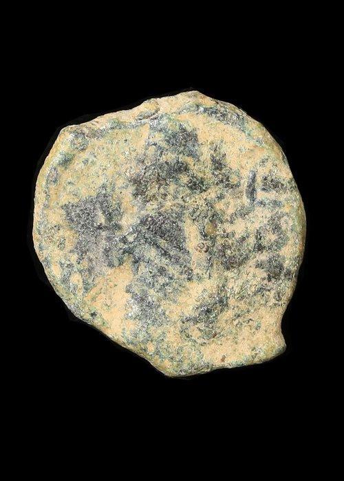 Nabataean Brons Prutah van Aretas IV en Shaqilat (Zonder, Antiek en Kunst, Antiek | Overige Antiek