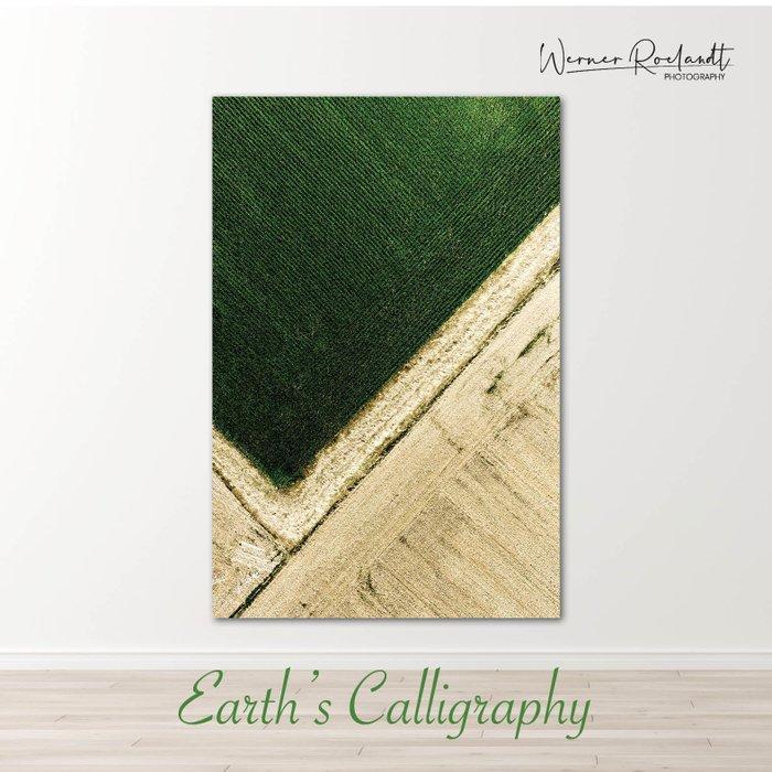 Werner Roelandt - Earths Calligraphy - 001, Antiek en Kunst, Kunst | Designobjecten