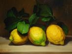 Giuseppe Cacciapuoti (1969) - Limoni, Antiek en Kunst